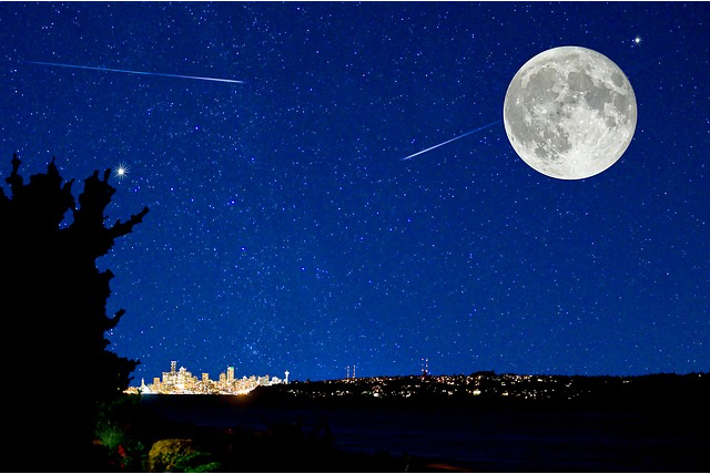 Nachtwanderung | 6 bis 10 Jahre (PDF)