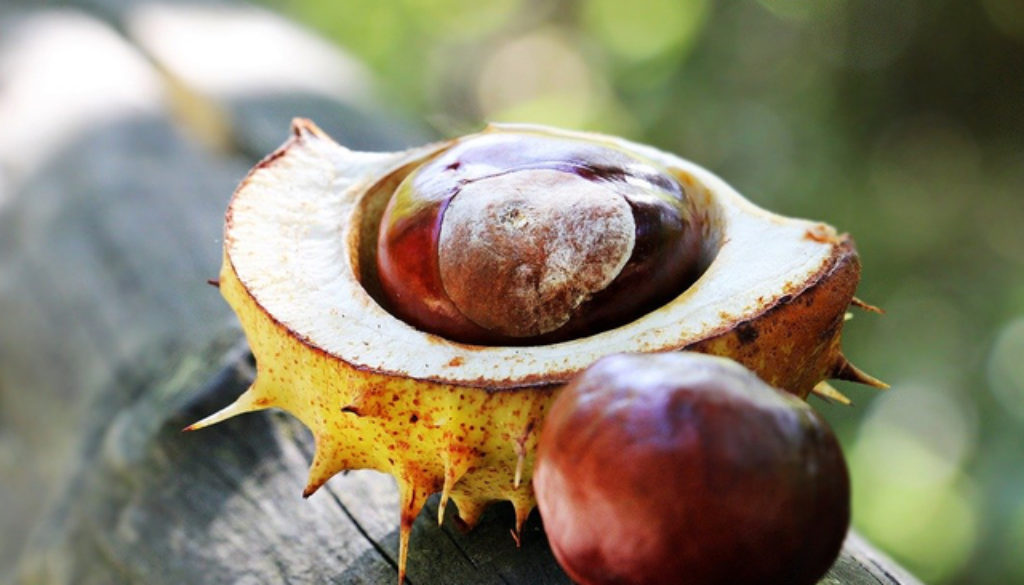 © Pixel2013 / Pixabay
