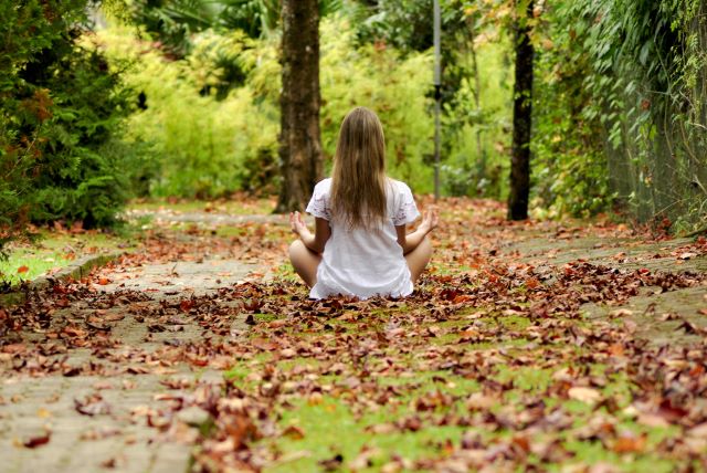 Auftanken in der Natur: Waldbaden mit Kindern