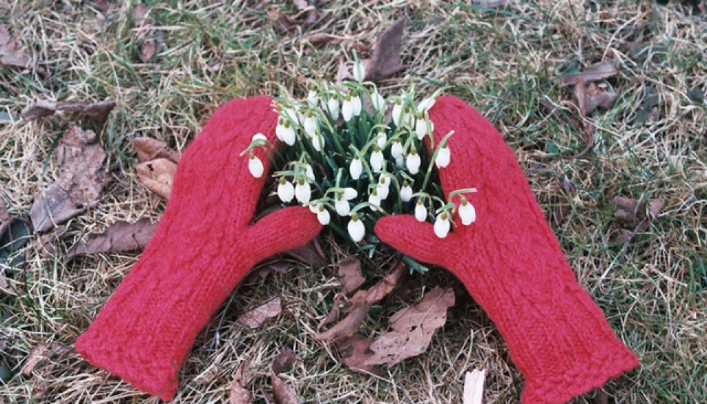 © Alla Hetmann / Unsplash